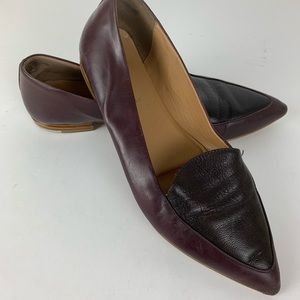 Everlane pointed flats